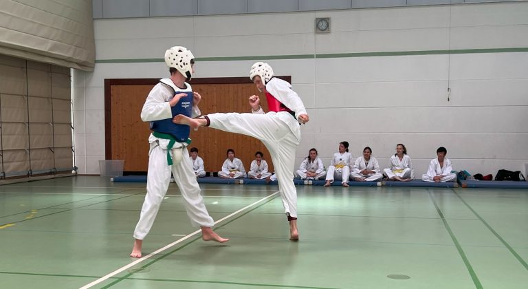Sport de combat le plus efficace