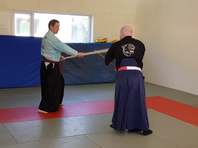 art-martial-avec-baton-court