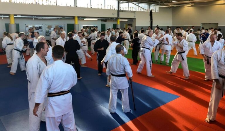 arts-martiaux-blagnac