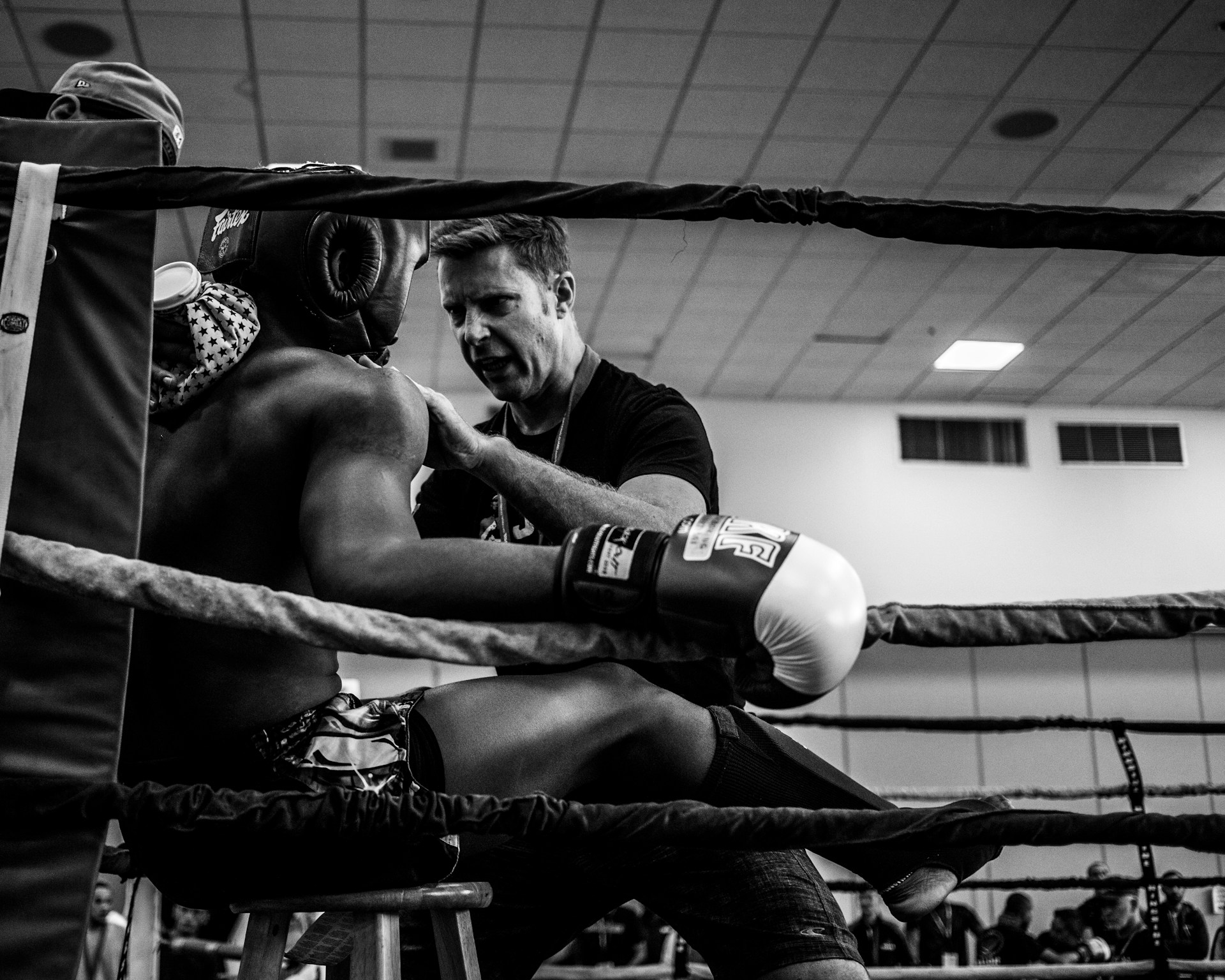 licence boxe anglaise