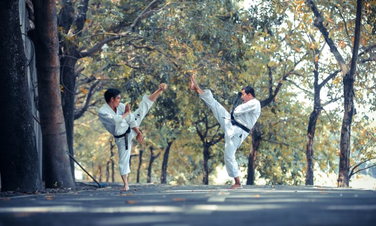 kyokushin