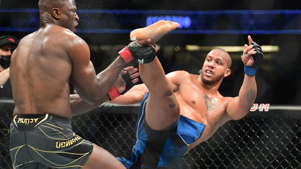 arts-martiaux-mixtes