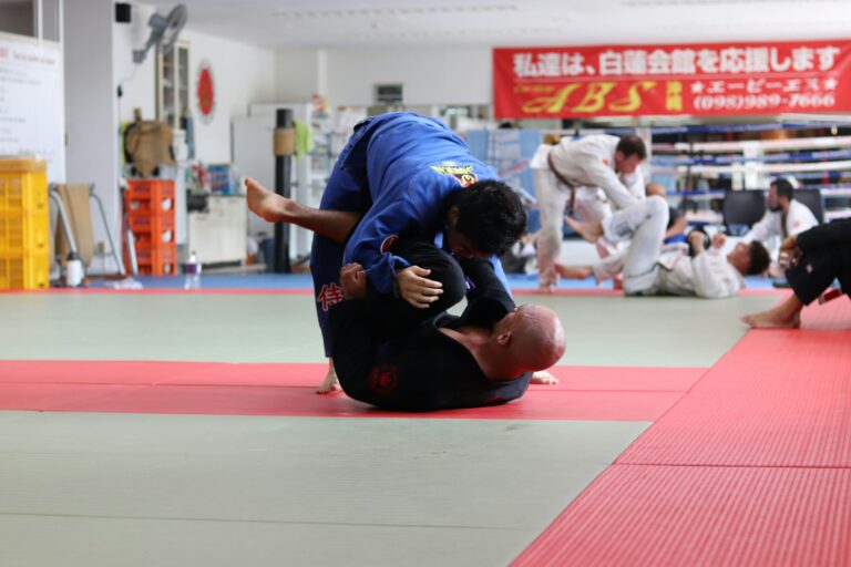 tapis-auto-defense