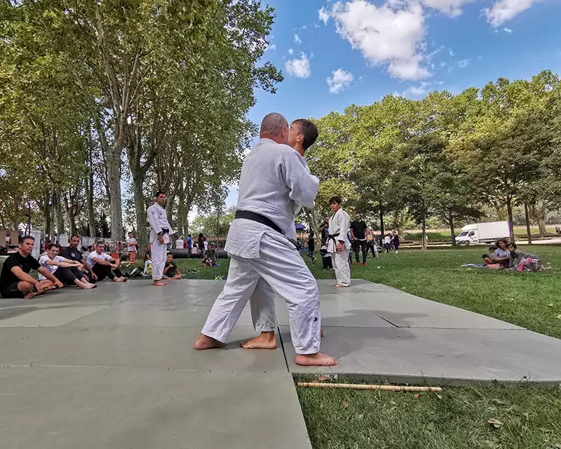 arts martiaux blagnac