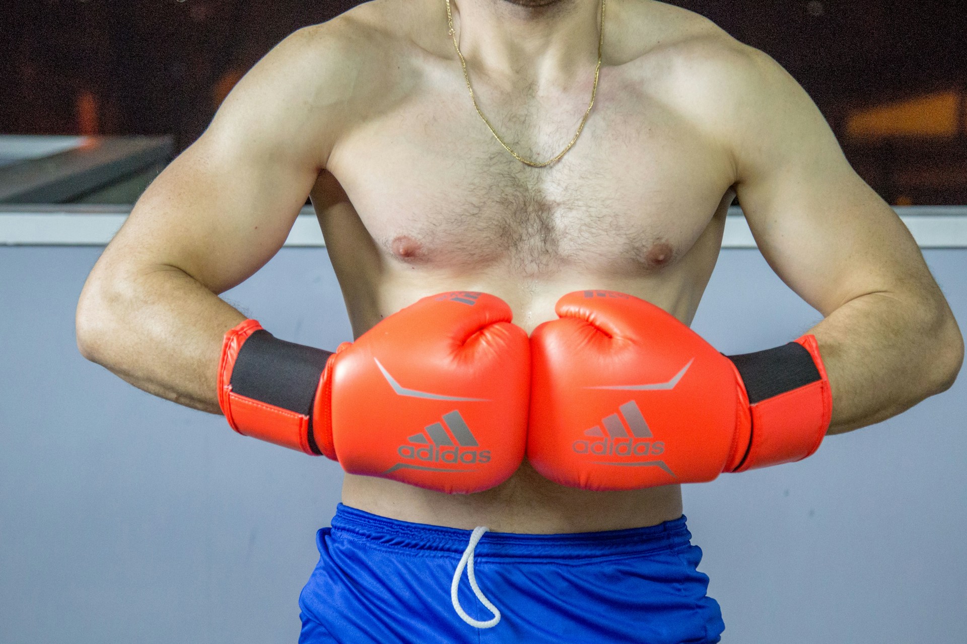 Boxeur Roux Bras de boxeur : les renforcer sans risque de blessure