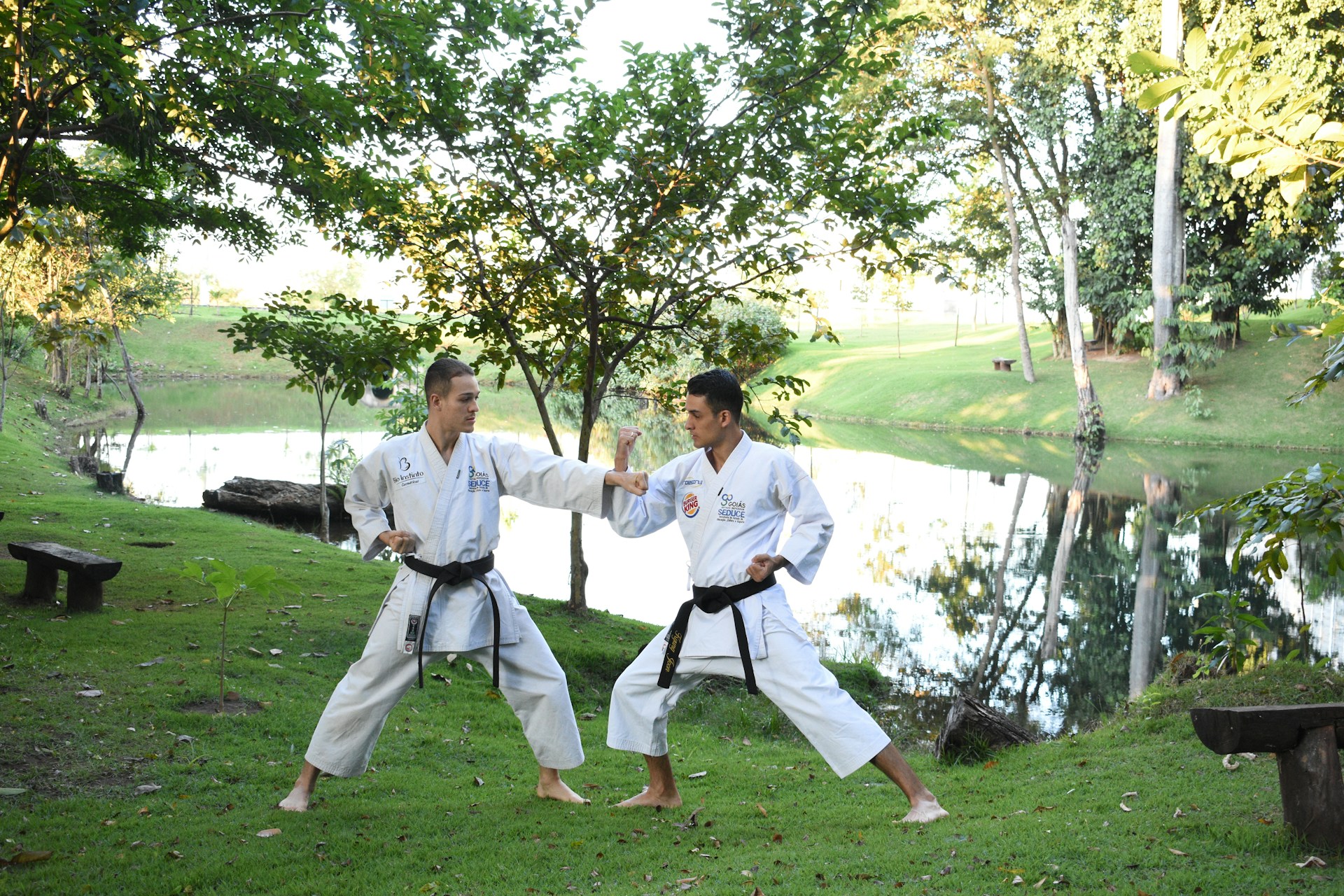 gedan barai karate