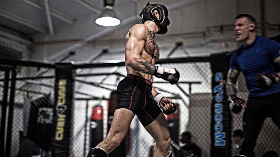 spar in boxing