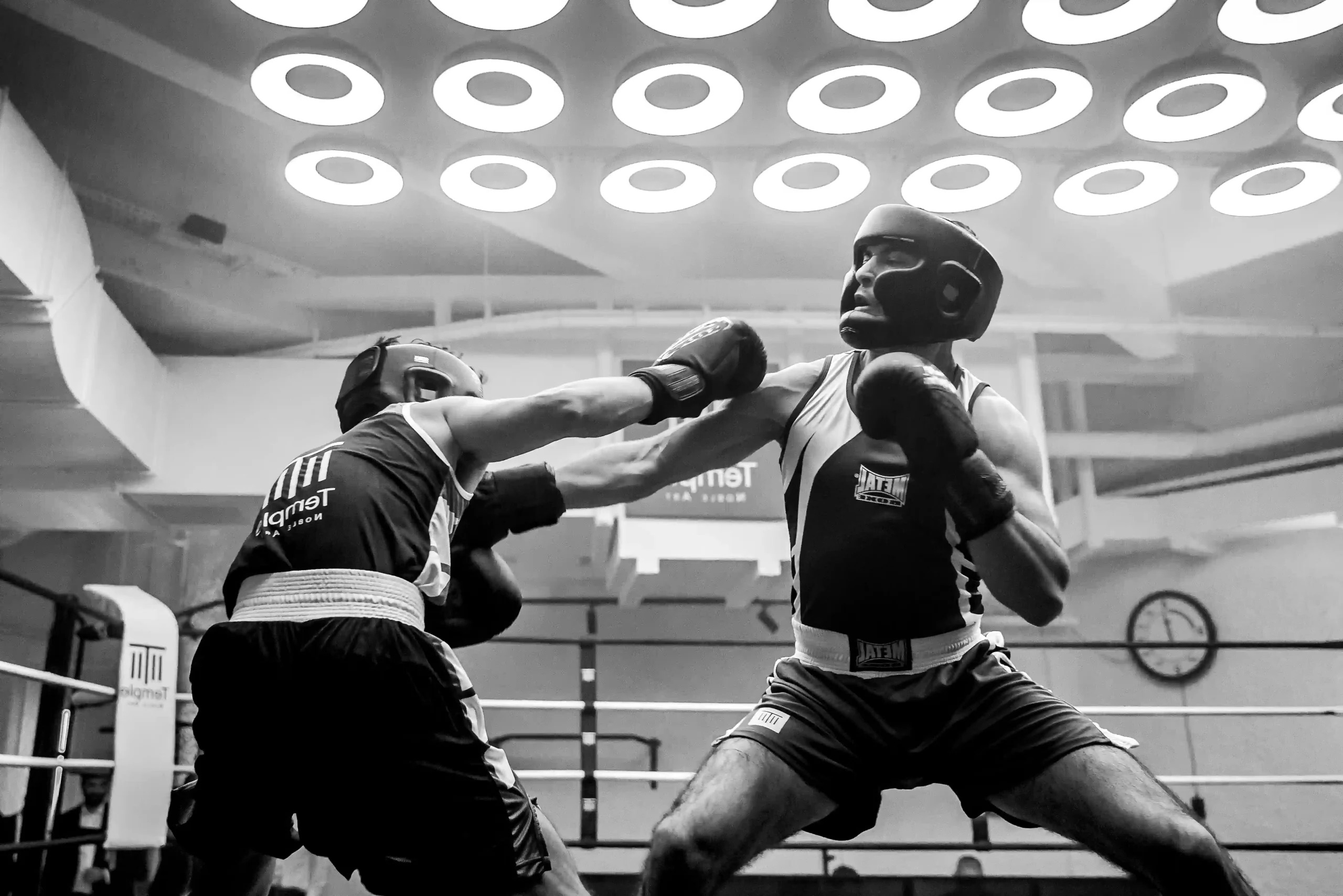 sparring boxe