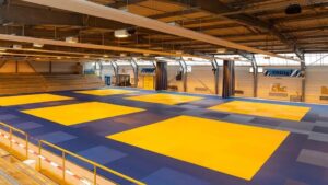 tatami-judo
