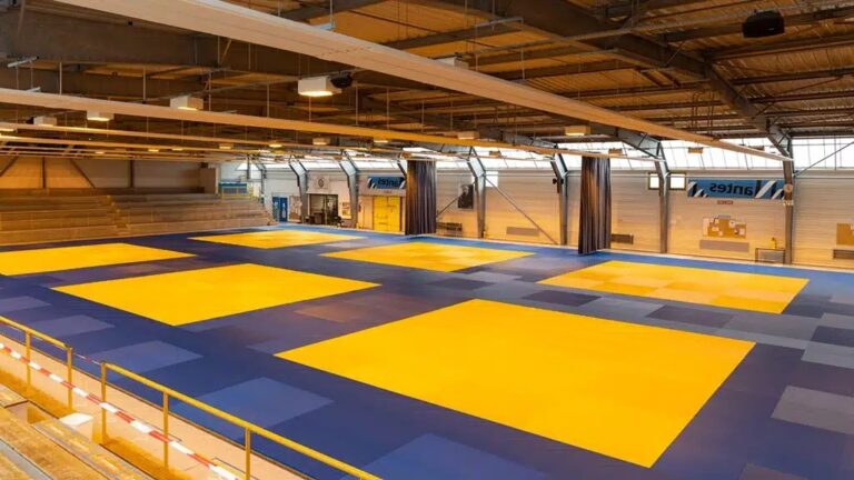 tatami-judo