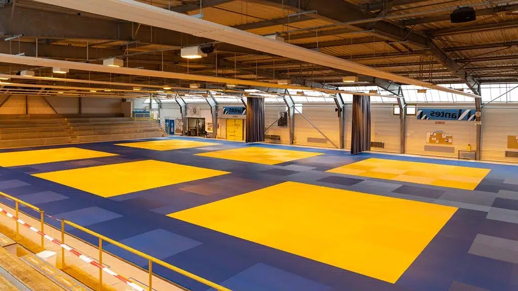 tatami-judo