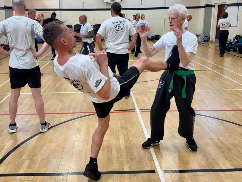 penchak silat vs krav maga