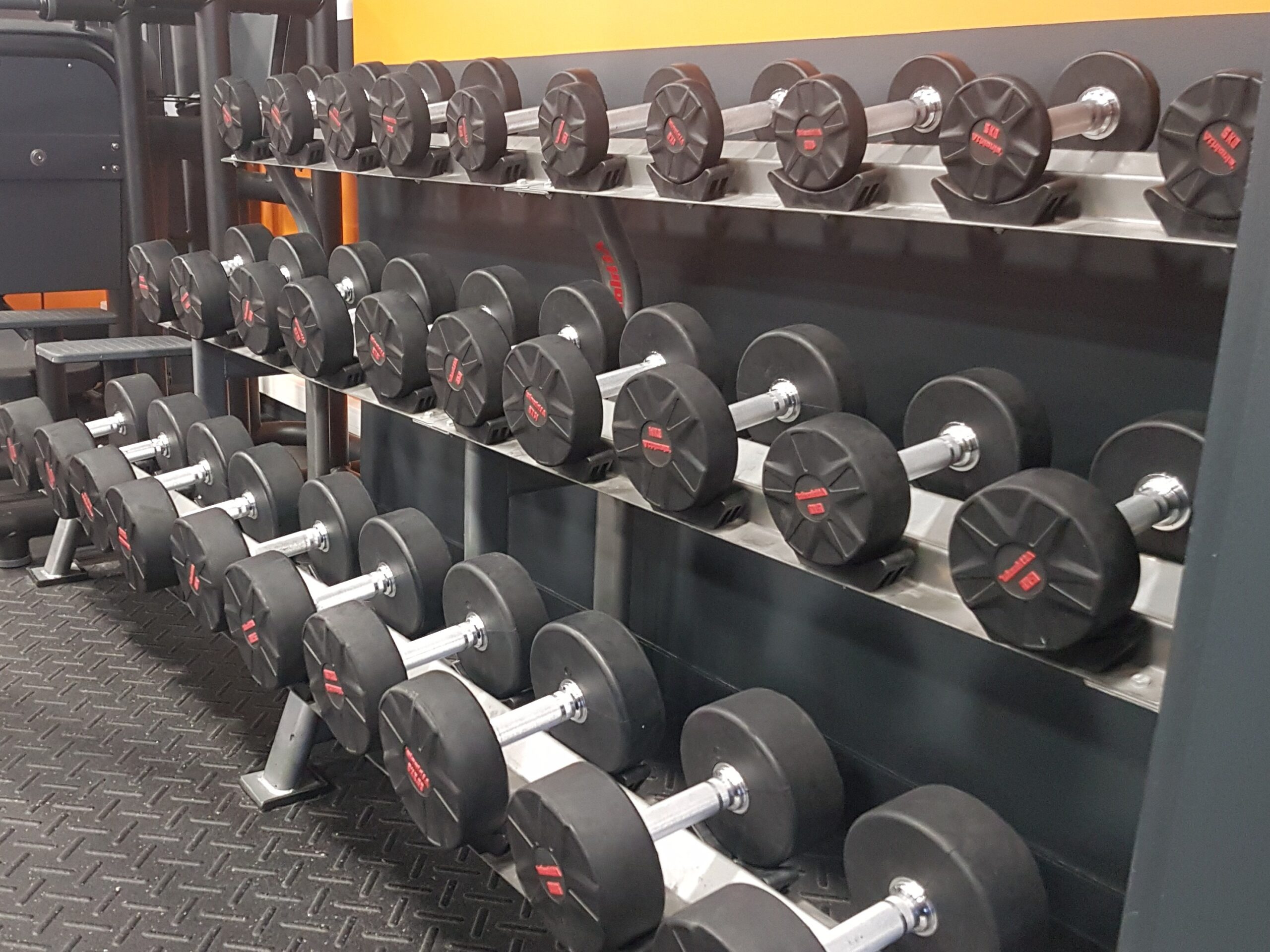 skarbowsky gym avis skarbowsky gym avis