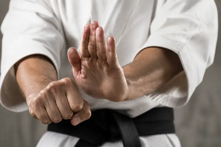 Mains exécutant différentes frappes : paume ouverte, griffes, coups de pique et paumes.